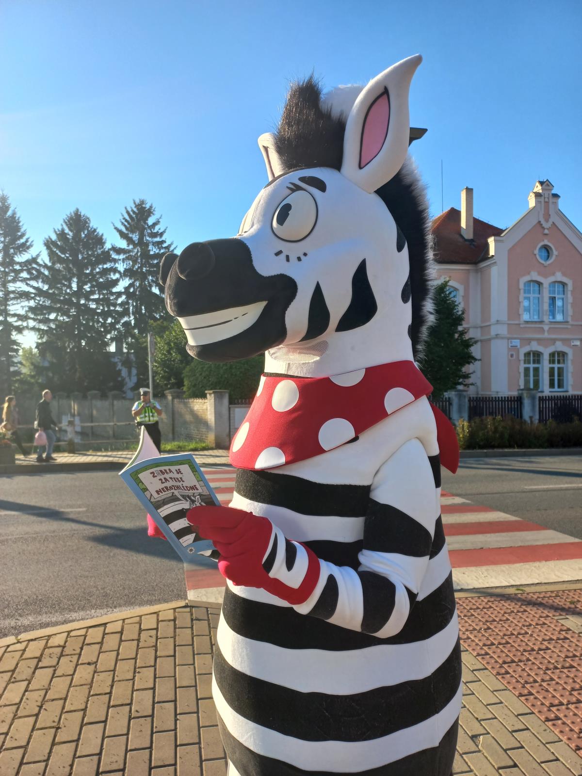 Zebra se za Tebe nerozhlédne