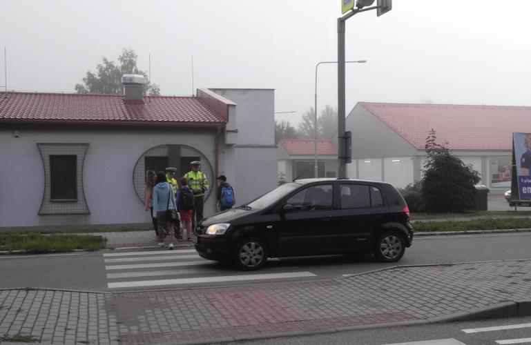 Zebra se za Tebe nerozhlédne