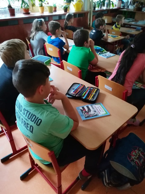 Zebra se za Tebe nerozhlédne
