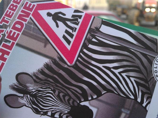 Zebra se za Tebe nerozhlédne 