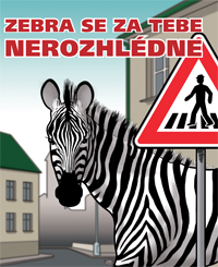 Zebra se za tebe nerozhlédne