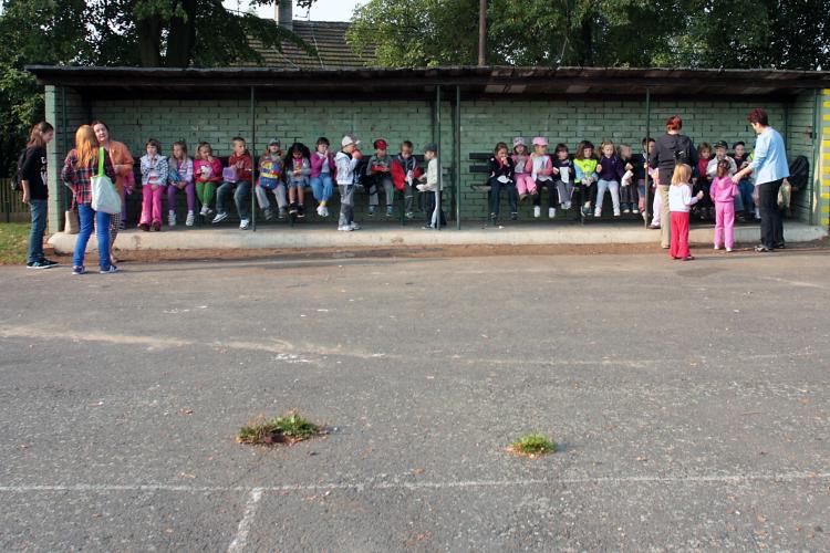 Zebra se za tebe nerozhlédne