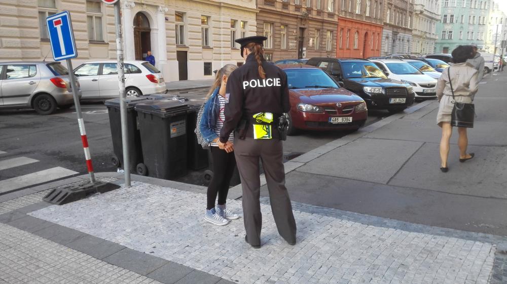 Zebra se za tebe nerozhlédne 01