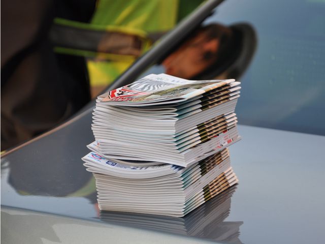 Zebra se za tebe nerozhlédne 1.jpg