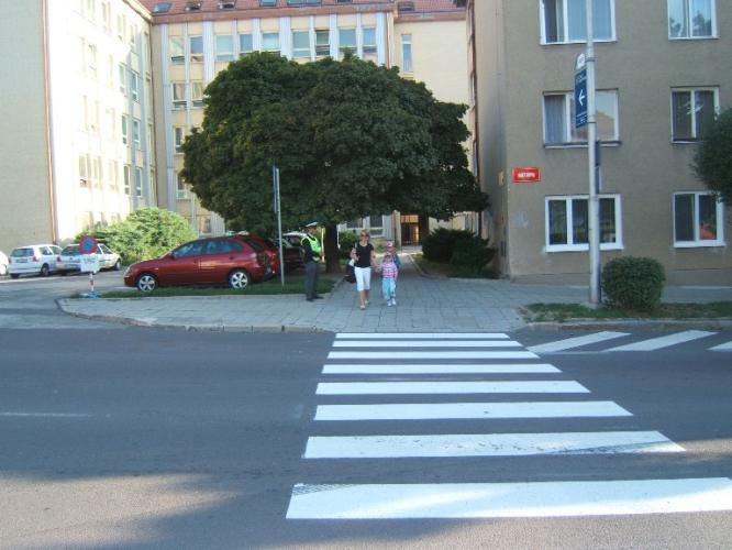 Zebra se za tebe nerozhlédne 13
