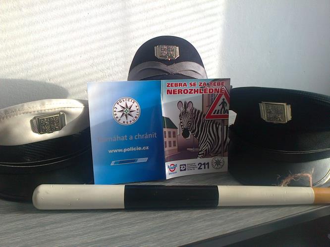 Zebra se za tebe nerozhlédne 2.jpg