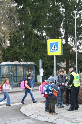Zebra se za tebe nerozhlédne1.JPG