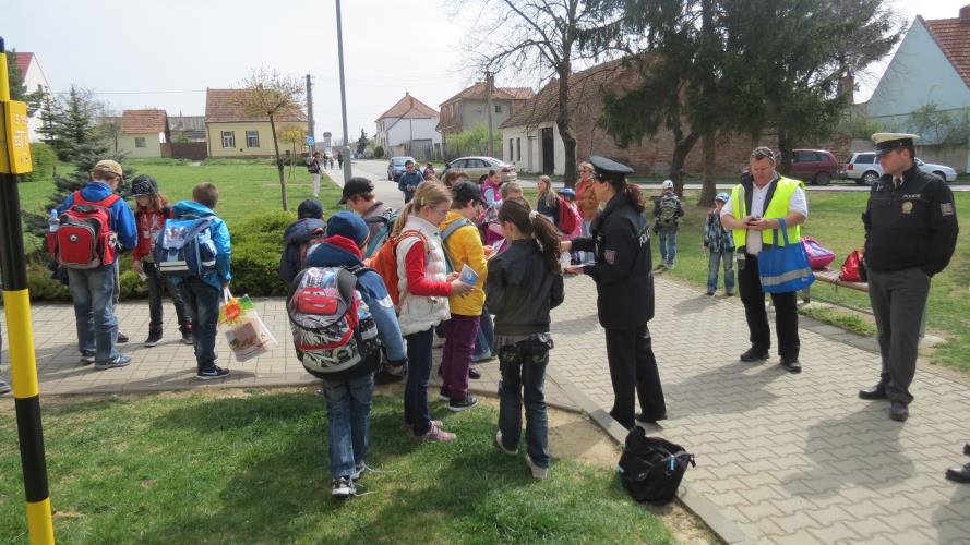 Zebra u školy.jpg