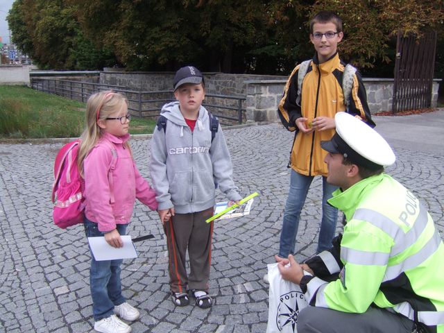 Zebra v Chomutově