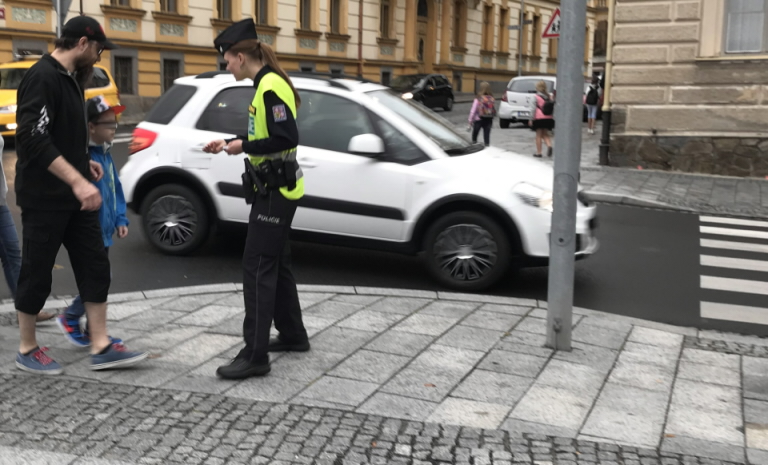 Zebra září 2019-1.JPG