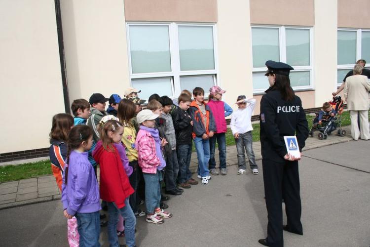 Zebra_Lomnice (54).jpg