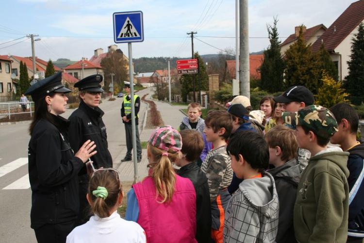 Zebra_Lomnice (64).jpg