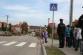 Zebra_Lomnice (68)