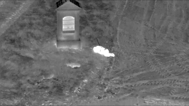 Znojemsko - pátrací akce