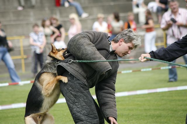 _MG_3171.JPG