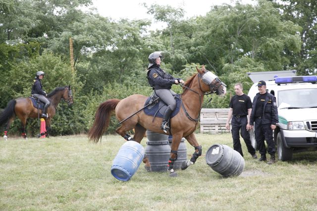 _MG_3340.JPG