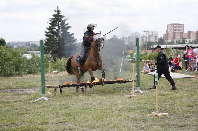 _MG_3346.JPG