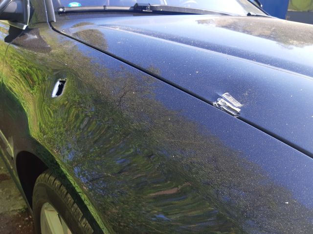 auto