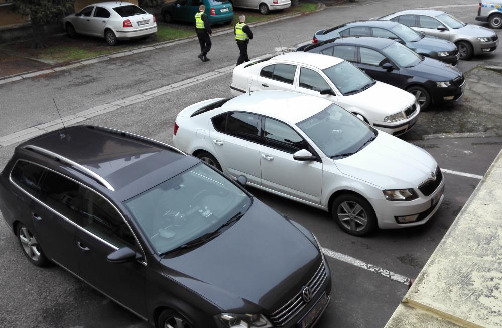 auto-tým.jpg