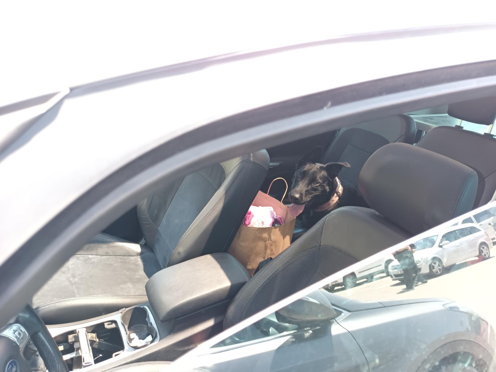 auto_neni_trezor
