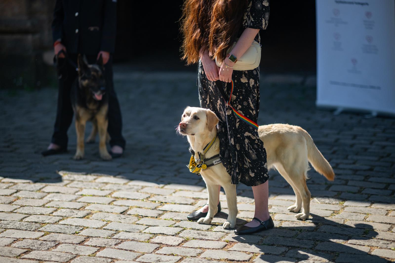 autor fotografie Vojta Herout