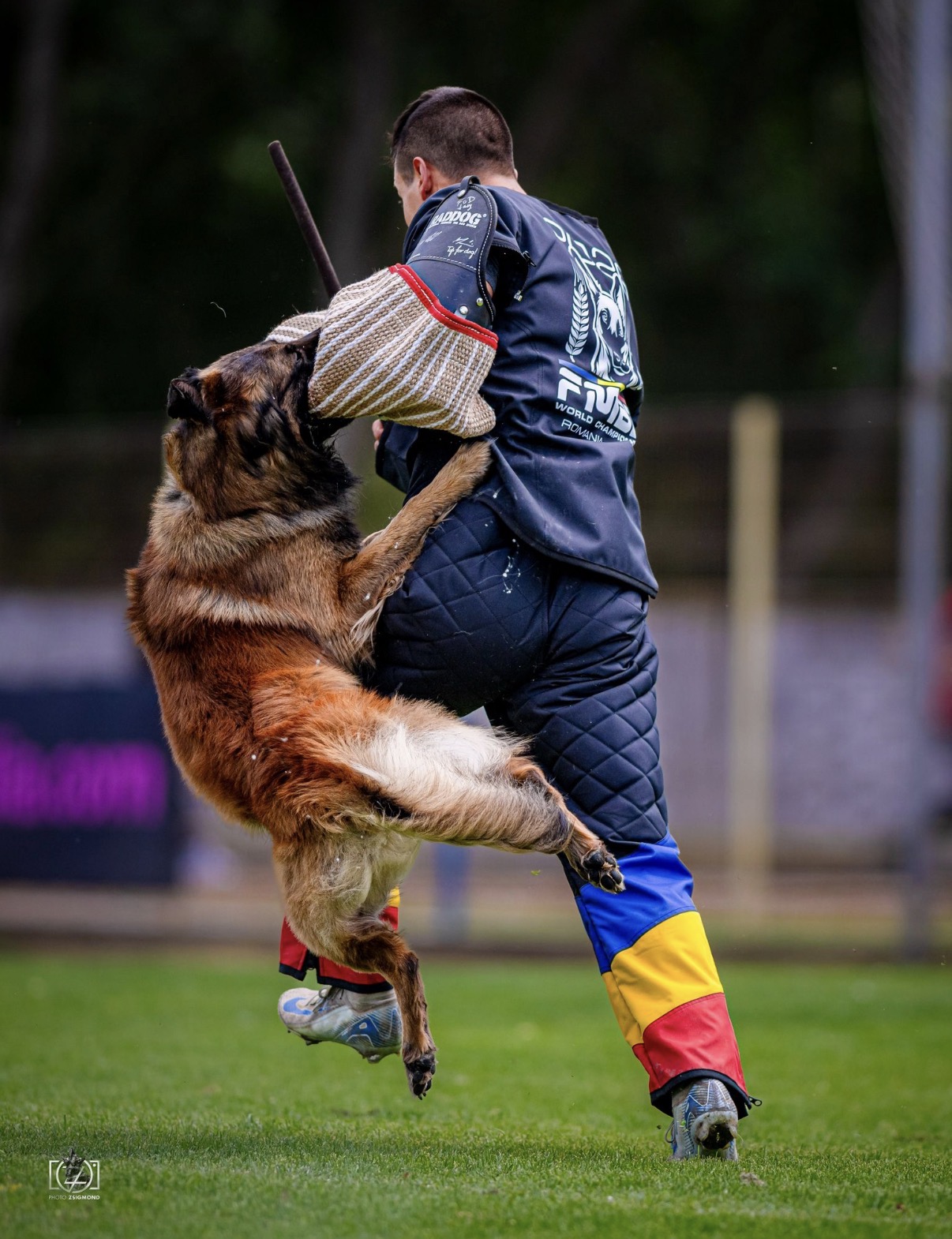 autor fotografie photo_zsigmond