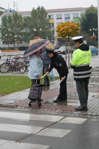 bezpečnost chodců.jpg