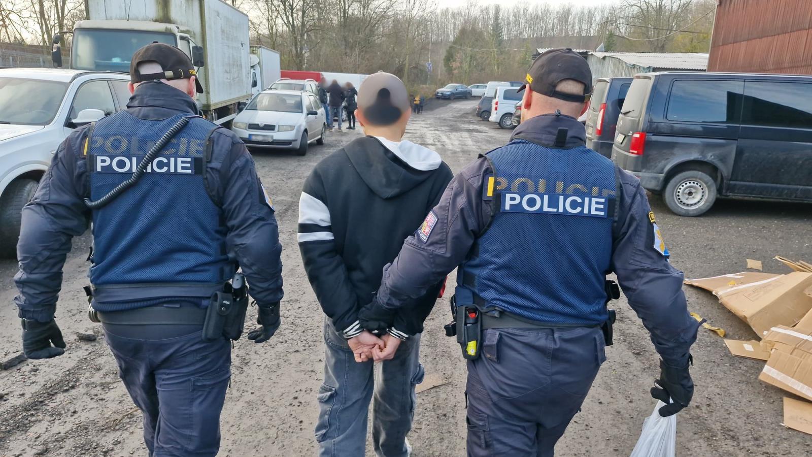 cizinec_přes plot.jpg