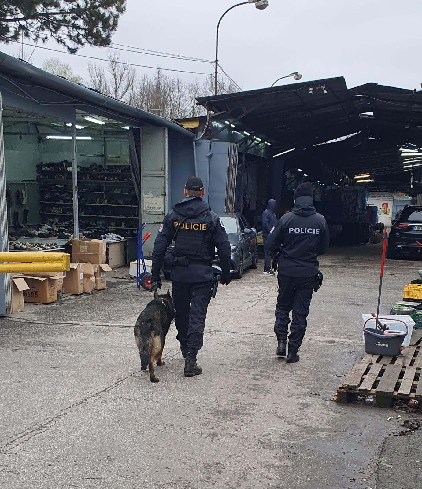 cizinecká_akce_tržnice_Ostrava (6).jpg