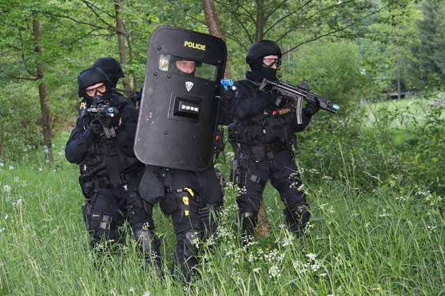 cvičení