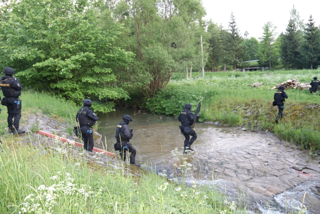 cvičení
