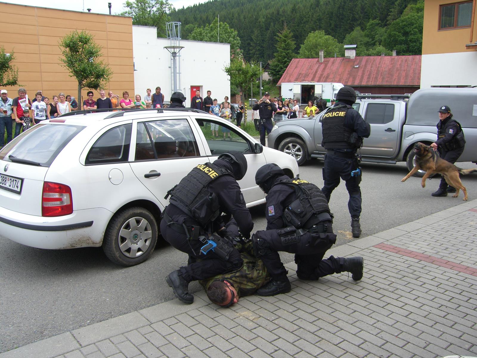 cvičení
