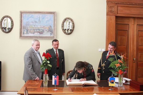 delegace