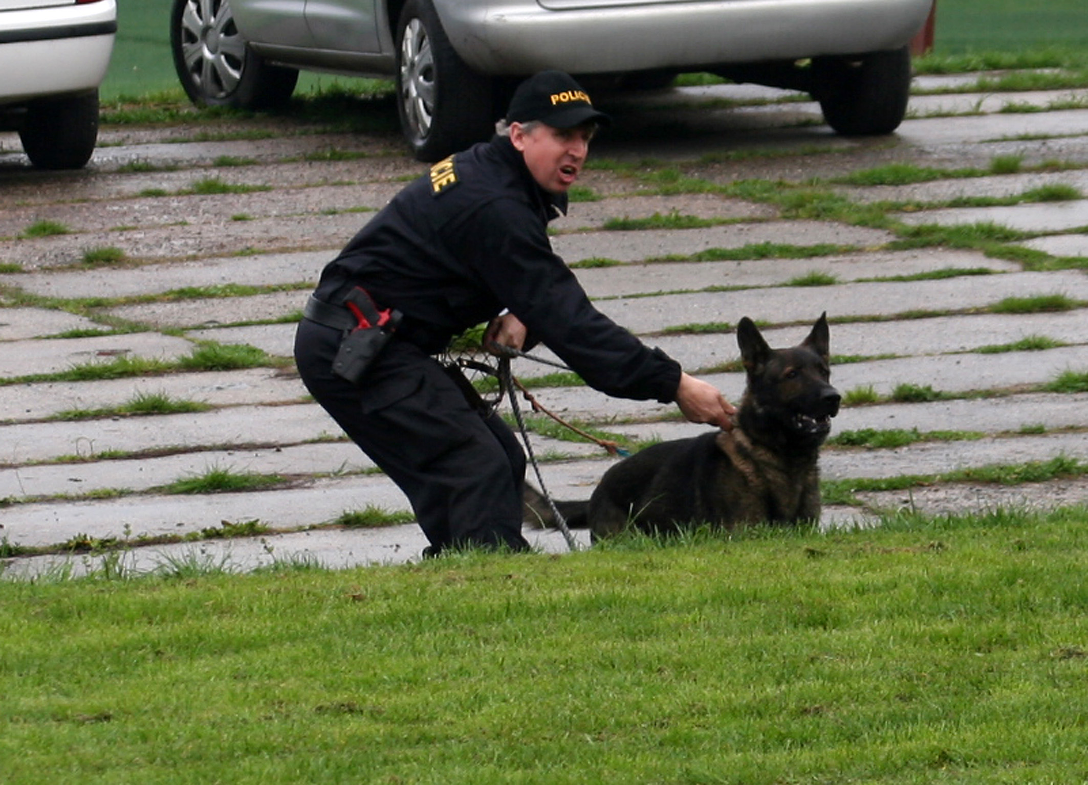 dobrotice_9.jpg