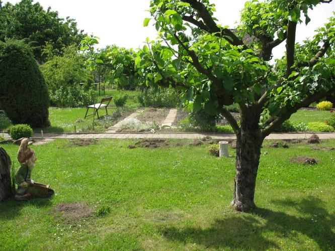 dřeviny2