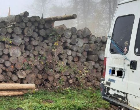 dřevo dodávka.jpg