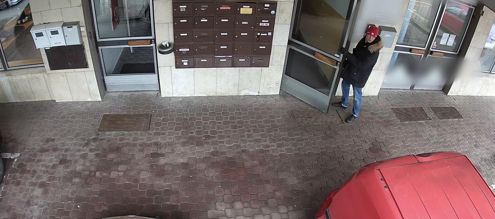 důležitý svědek.jpeg