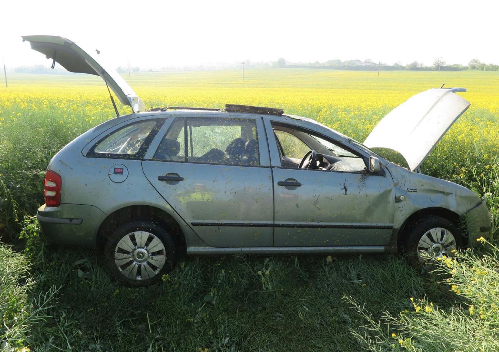 fabia v poli