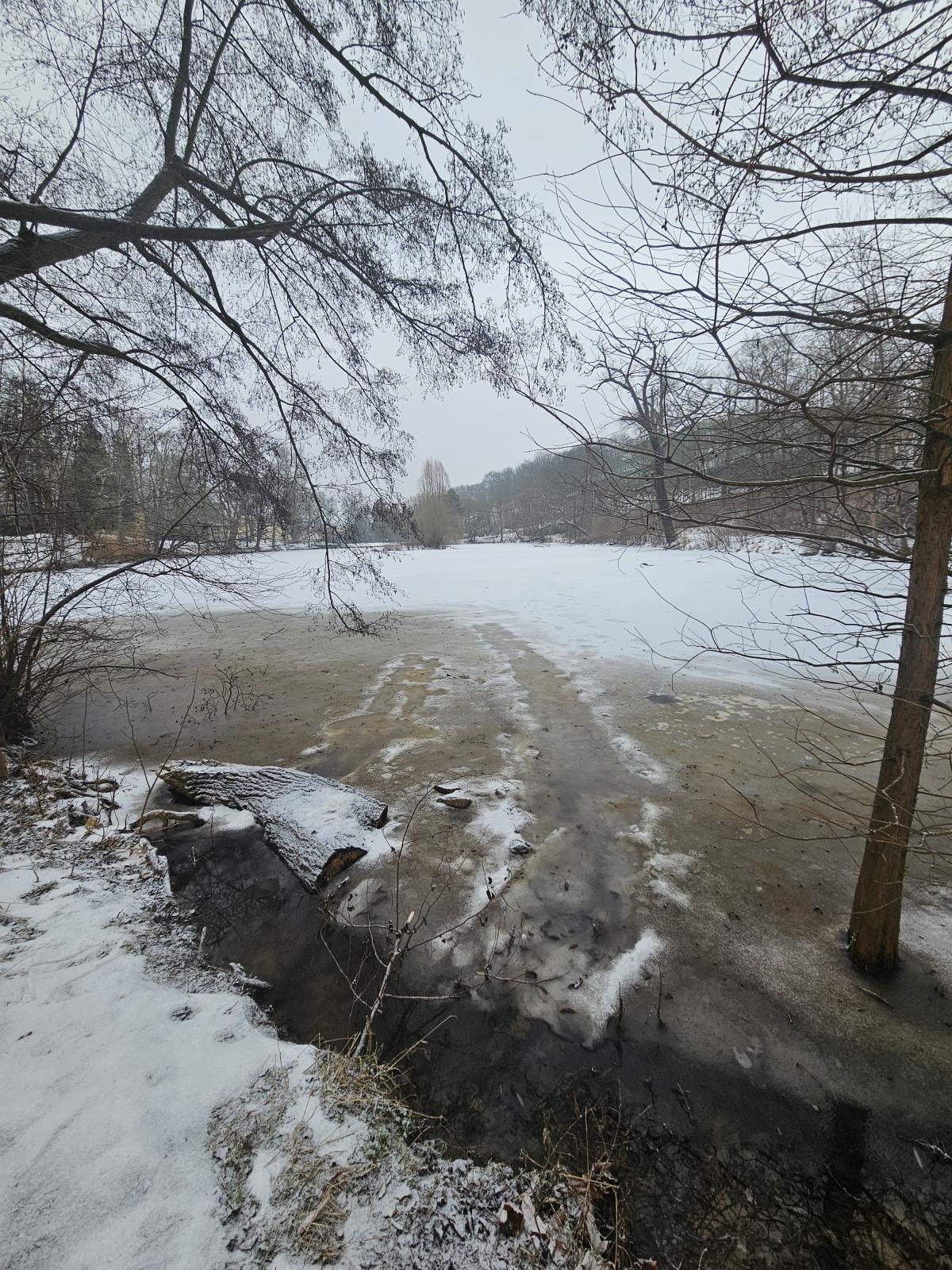 foto: Dolní Zámecký rybník