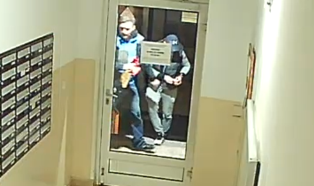 foto (2).png