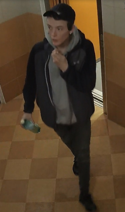 foto 2.png