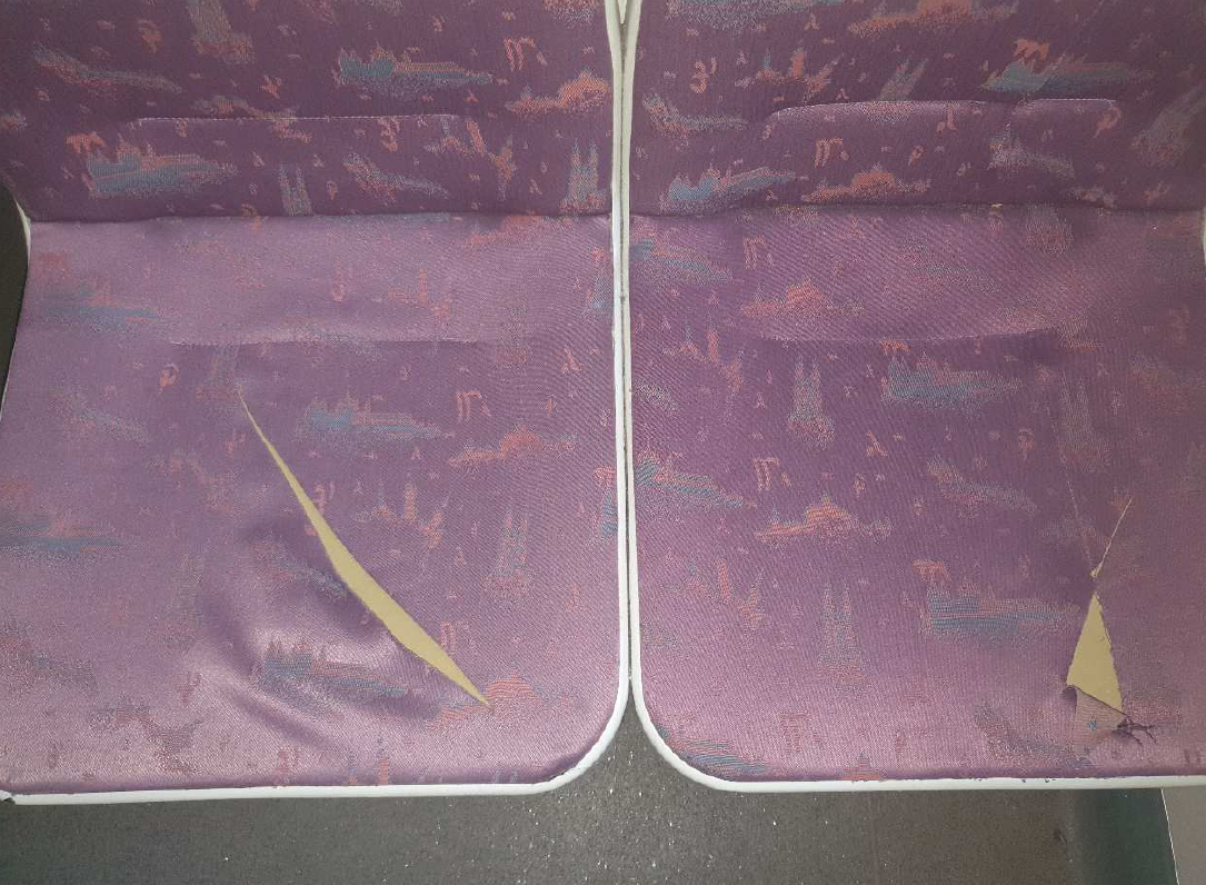 foto 3.png