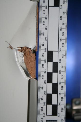 foto 4.jpg