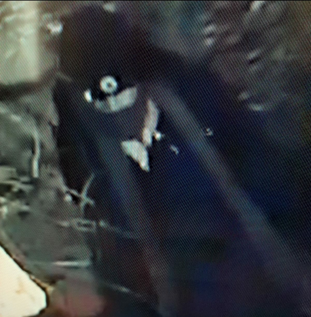 foto 5.jpg