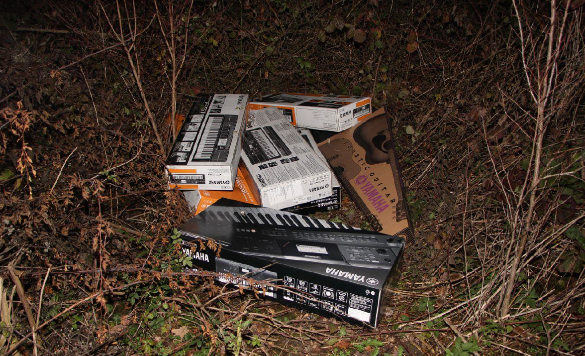 foto 5.png