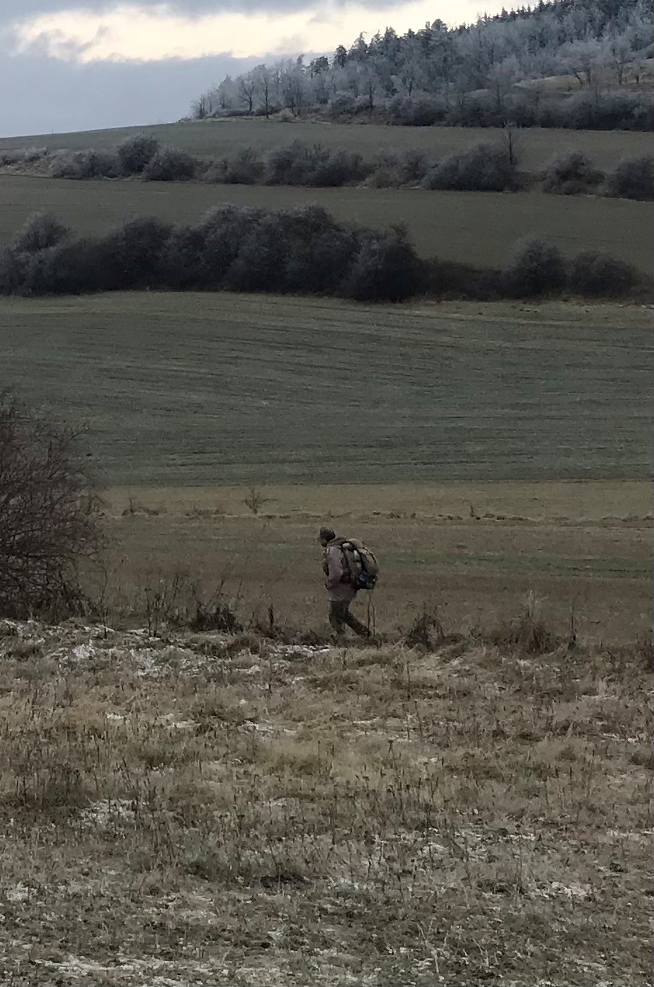 foto PČR