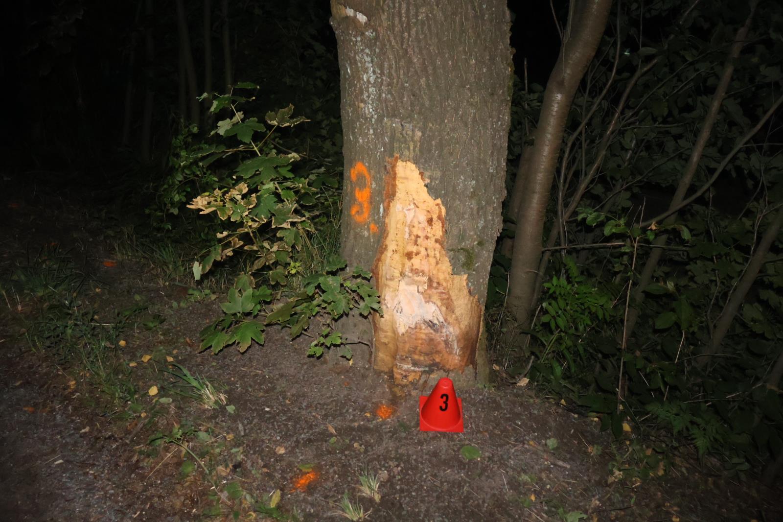 foto PČR č. 1