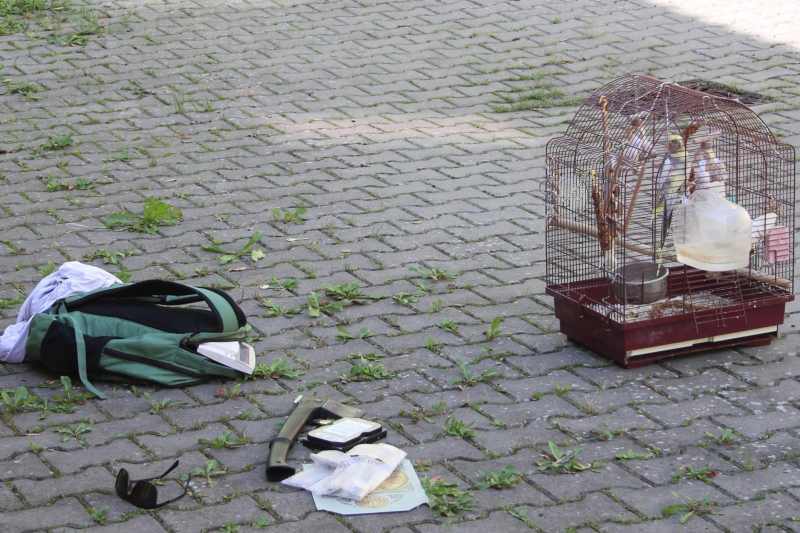foto korela.JPG