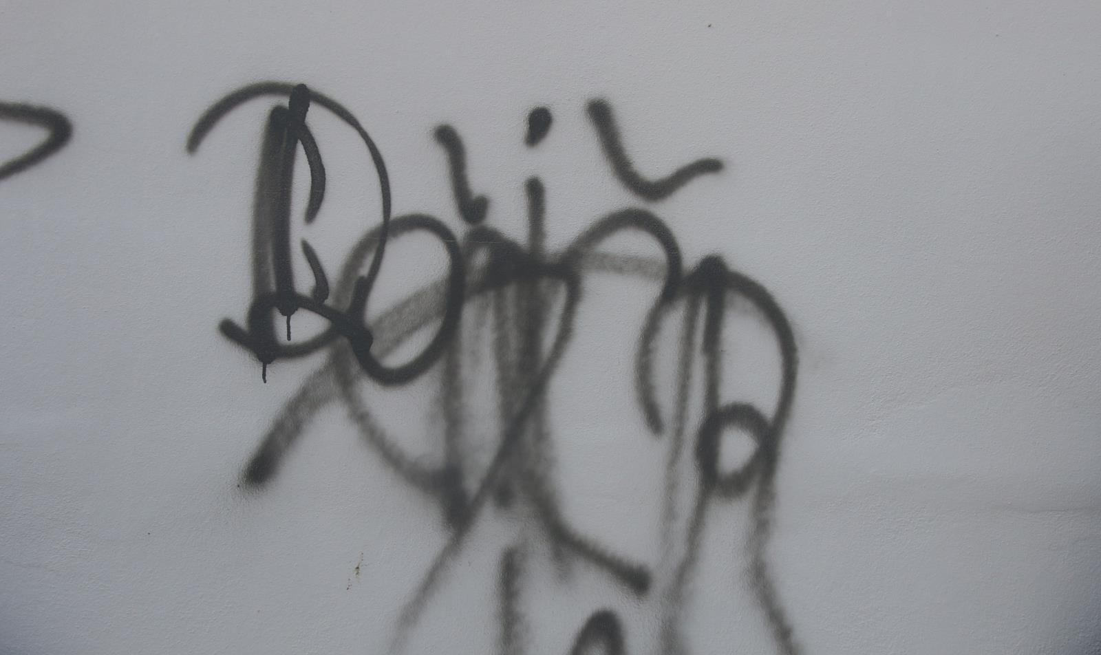 foto sprejerství.JPG