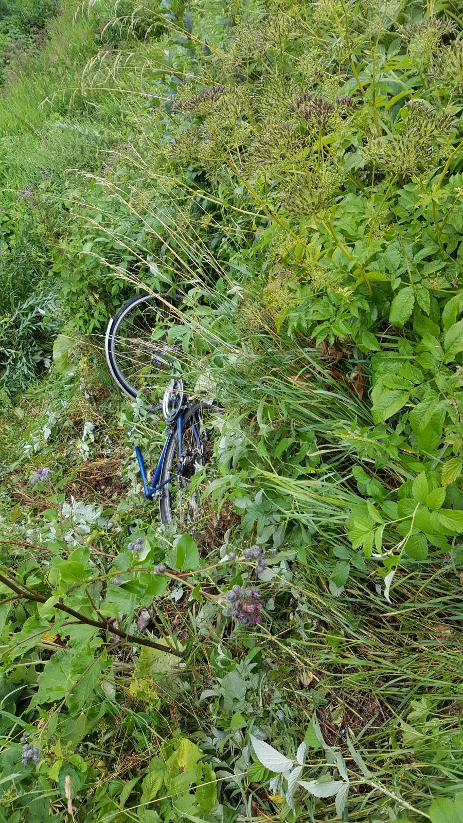 foto z pátrací akce-kolo pod hrází rybníka.jpg